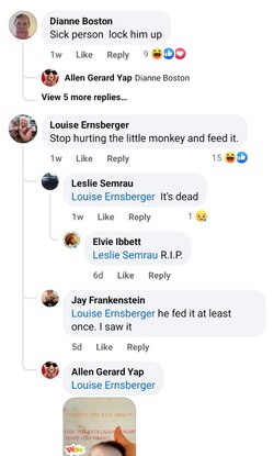 Screenshot_20240505_111443_Facebook.jpg