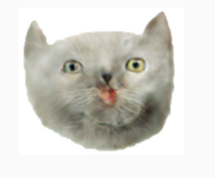 Thebest.png