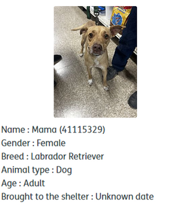 2024-05-05 10.10.37 24petconnect.com 9ae0dd361ee4.png