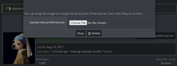 Screenshot 2024-05-05 12.18.44 PM.png
