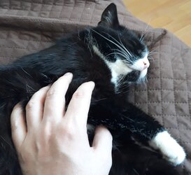 20230726_141050.jpg