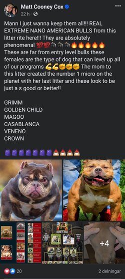 1000014579.jpg