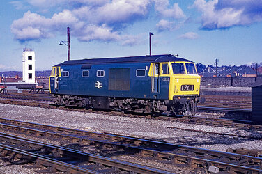 D7030.jpg