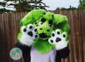 BlueFolf in Dutch Angel Dragon suit.jpg