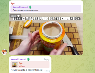 Telegram 3.png