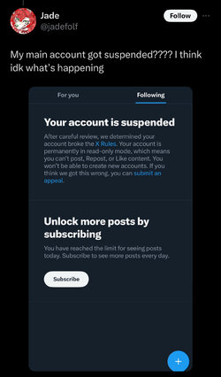 suspended 1.jpeg