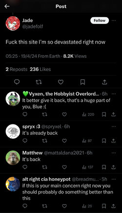 suspended 2.jpeg