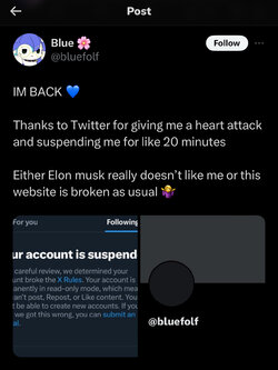 suspended 3.jpeg