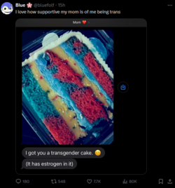fake mom 1.png