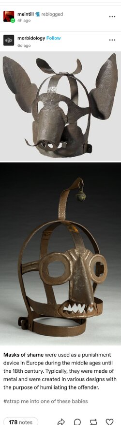 Masks-cleaned.jpg