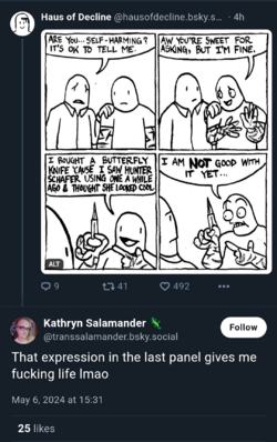 b6.png