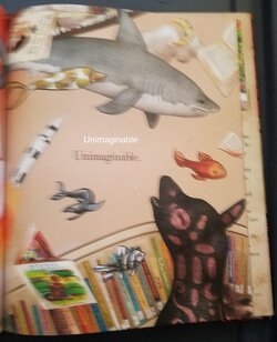 20240506_185448.jpg