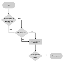 flowchart 1.png
