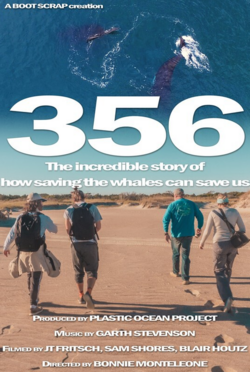 356.png