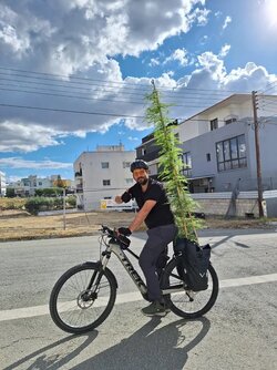 plant-shop-owner-will-you-be-able-to-fit-it-in-your-car-me-v0-8idl209tltyc1.jpg