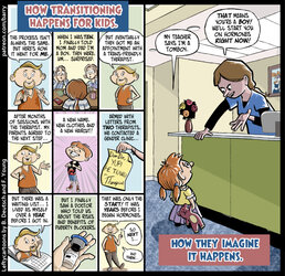 trans-transition-process-reality-vs-imagine-imagination-transphobes-1.jpg