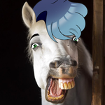 horse!luna.png