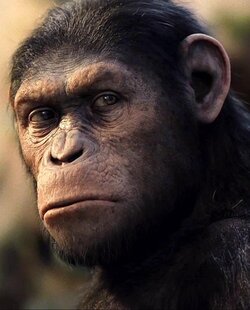 rise-planet-apes-4216563597.jpg