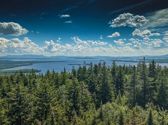 goodview11 copy.jpg