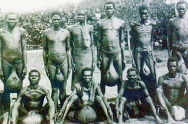 13406345_tribeofbubal_jpega697cf5a6860db444cf487f3b95e0d0e.jpeg