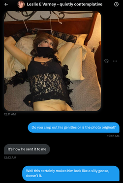 1715196311096.png