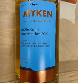 myken-badin-stout-intervention-2022.jpg