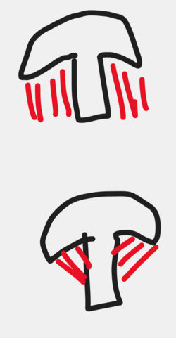 Screenshot_20240508-193033.png