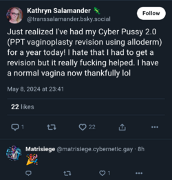 c1.png
