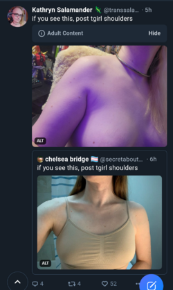 f3.png