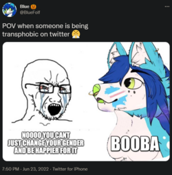 1715263611169a.png