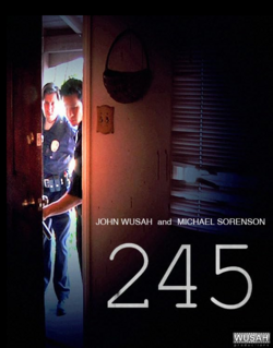 245.png