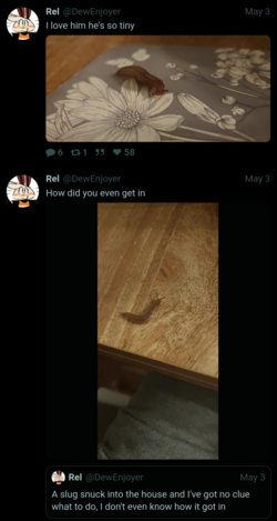 Screenshot_20240509-152327_(1).png
