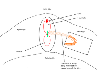 fig4.png