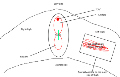 fig3.png