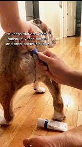images (4).jpeg