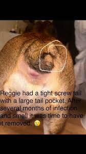 images (2).jpeg