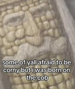 Corn.jpg