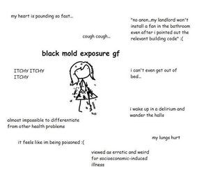 tumblr_c1d235b71c6e308055eca6e3135f4ec8_ae909555_640 (1).jpg