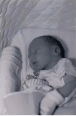 DL Baby 01.png