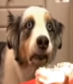 1715383828790.png