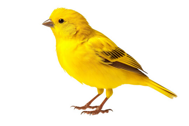 1715384483006.png