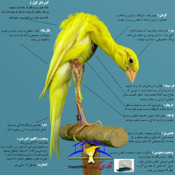 1715384508343.png