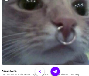 Screenshot 2024-05-10 200720.png