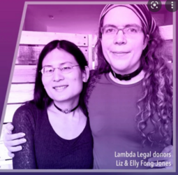 elly-donors.png