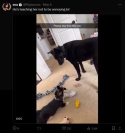 FireShot Capture 1666 - Posts with replies by ava (@flipacross) _ X - twitter.com.png
