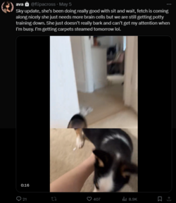 FireShot Capture 1674 - Posts with replies by ava (@flipacross) _ X - twitter.com.png