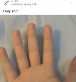 image1.jpeg