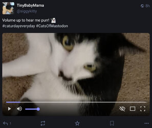 IMG_6367.jpeg