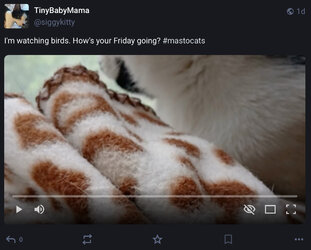 IMG_6368.jpeg