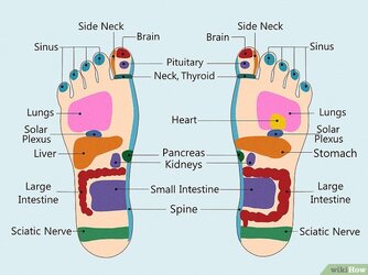 v4-728px-Read-a-Foot-Reflexology-Chart-Step-1-Version-5.jpg